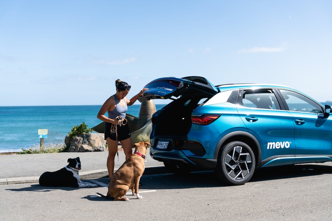 ☀️ Summer EV Rental – BYD ATTO 3